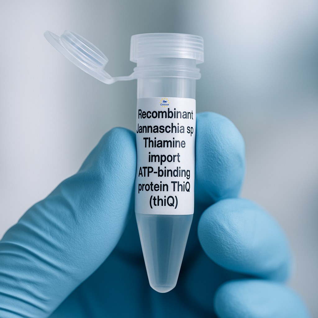 Recombinant Jannaschia sp. Thiamine Import ATP-Binding Protein ThiQ (thiQ)